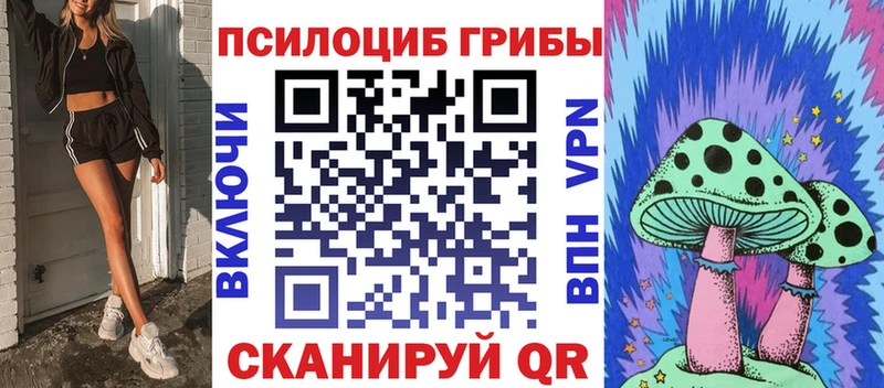 Галлюциногенные грибы Psilocybe  Заинск 